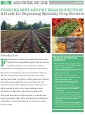 Cover page of Fresh Market and Dry Bean Production: A Guide for Beginning Specialty Crop Growers
