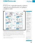 Cover page of Protocol for organelle-specific cysteine capture and quantification of cysteine oxidation state.